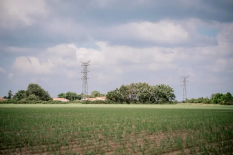 Des PFAS utilisés comme fertilisants agricoles selon une enquête de France 3 et Disclose