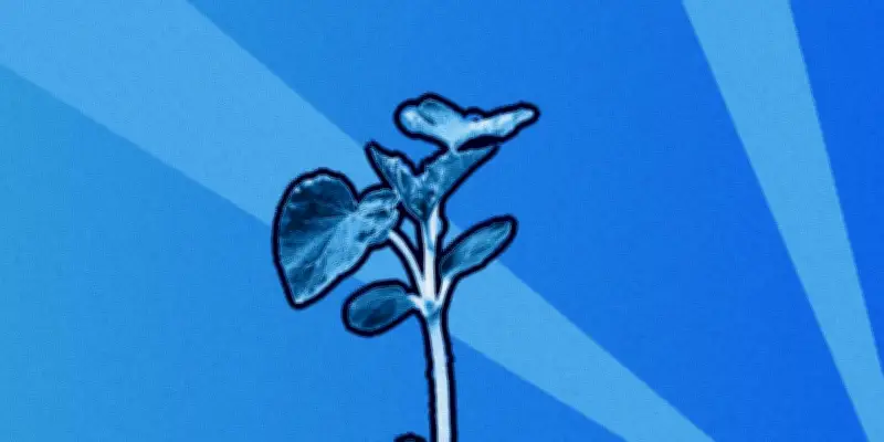 Des scientifiques alertent sur le décalage entre science et politique agricole