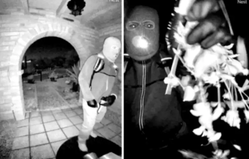 Disparition de Nancy Guthrie : le FBI diffuse des images d'un individu masqué