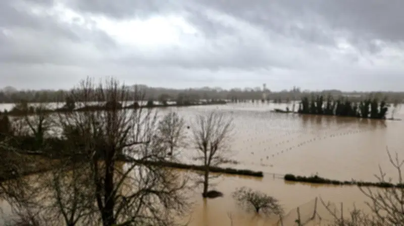 Dordogne : Les tempêtes Nils et Pedro dévastent l'agriculture, des pertes massives enregistrées