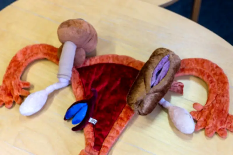 Éducation à la sexualité : l'Europe confrontée à une offensive conservatrice croissante