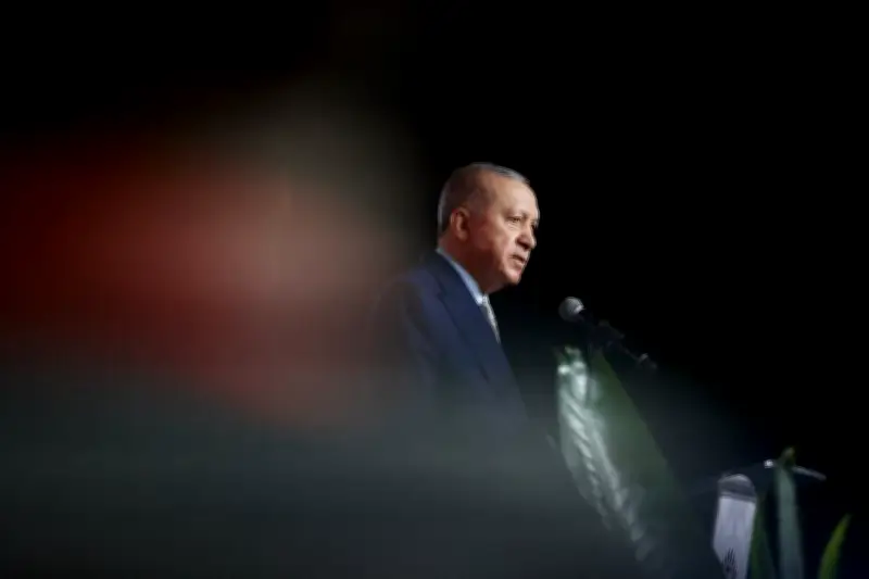 En Turquie, la culture dans le viseur d'Erdogan : artistes contraints à l'exil