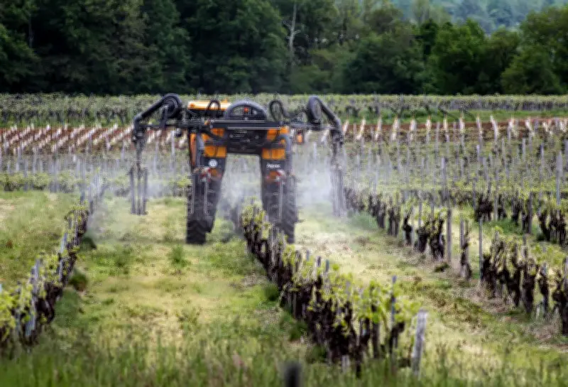EndoTroubles à La Rochelle : les perturbateurs endocriniens, un enjeu économique majeur pour les entreprises