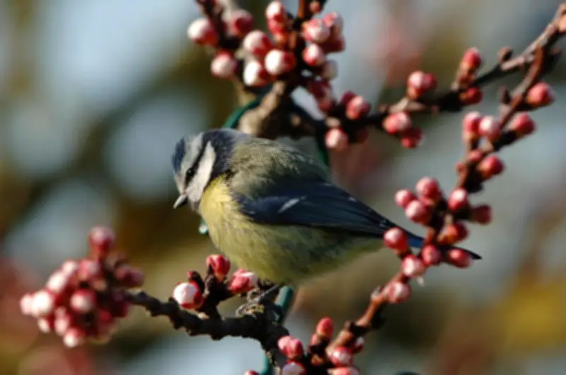 Evergreen : ces articles intemporels qui assurent l'audience des médias en ligne