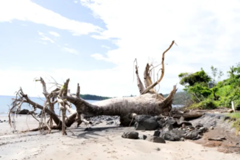Exode inaugural : migrations et climat au cœur du Musée de l'Histoire de l'Immigration