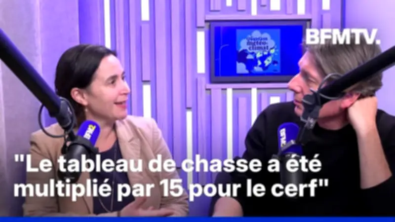 Explosion des populations de cervidés en France : un défi pour la forêt