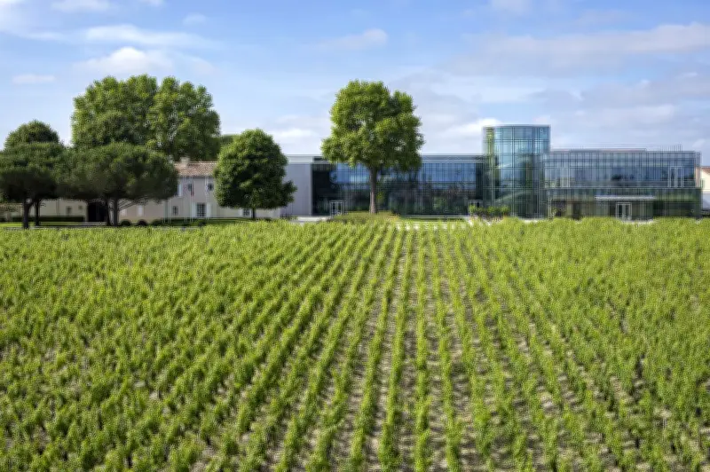 Fabienne Verdier illumine le château Lynch-Bages avec une exposition d'art contemporain
