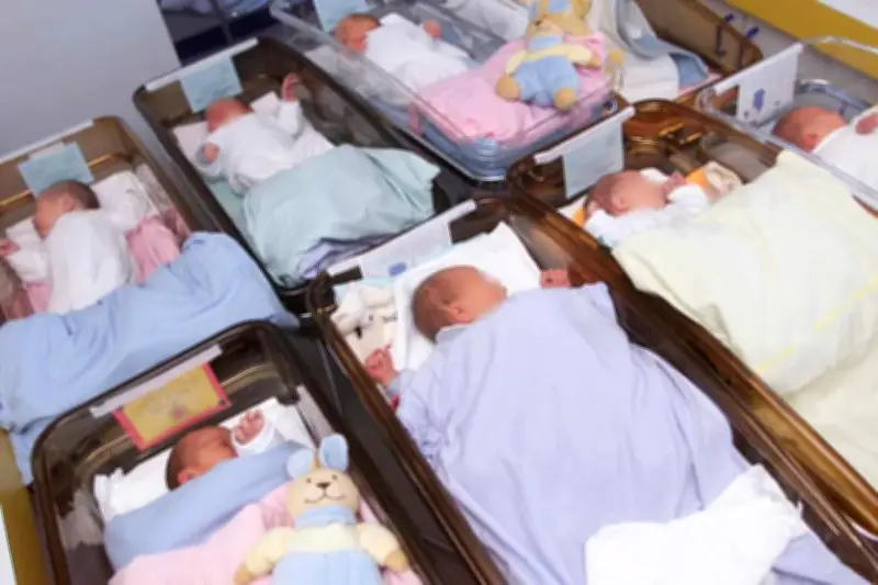 Face à la dénatalité, une commission parlementaire propose des mesures choc