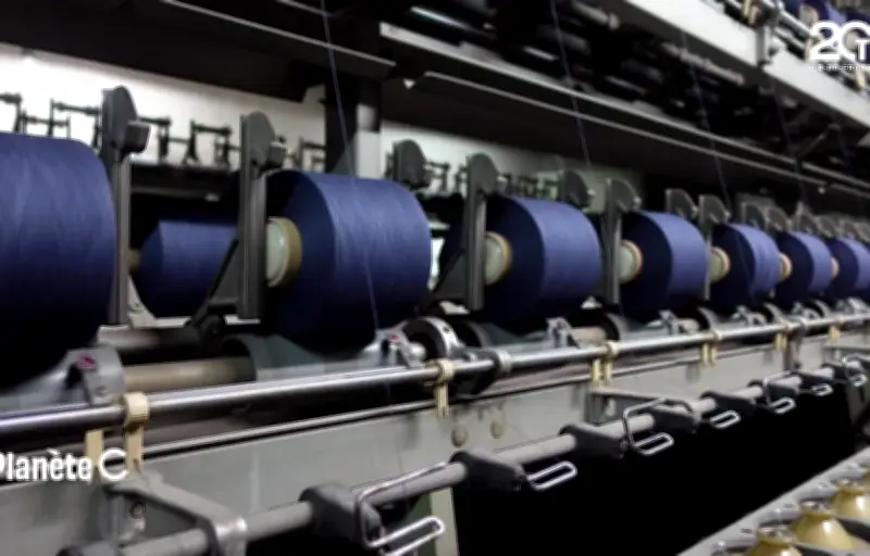 Fast-fashion : les secrets toxiques cachés dans les étiquettes SHEIN