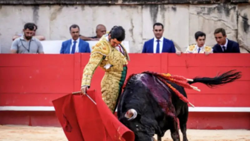 Feria de Nîmes 2026 : Morante de la Puebla et une corrida 100% française en vedette
