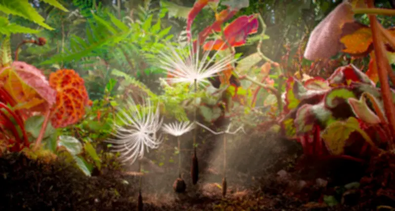 Festival Les Toiles Filantes 2026 : La Science à Hauteur d'Enfants à Pessac