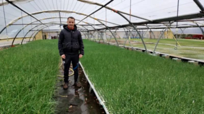 Florent Garcia, producteur innovant de plants de cèbes dans l'Hérault