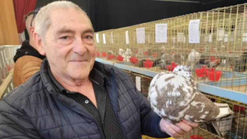 Foire avicole de Saint-Aunès : émotions et découvertes au rendez-vous