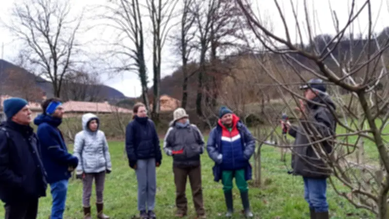 Formation à la taille des arbres fruitiers avec Les vergers d'antan en Aveyron