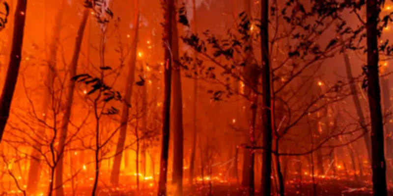 France à +4°C : les conséquences alarmantes du réchauffement climatique selon une climatologue