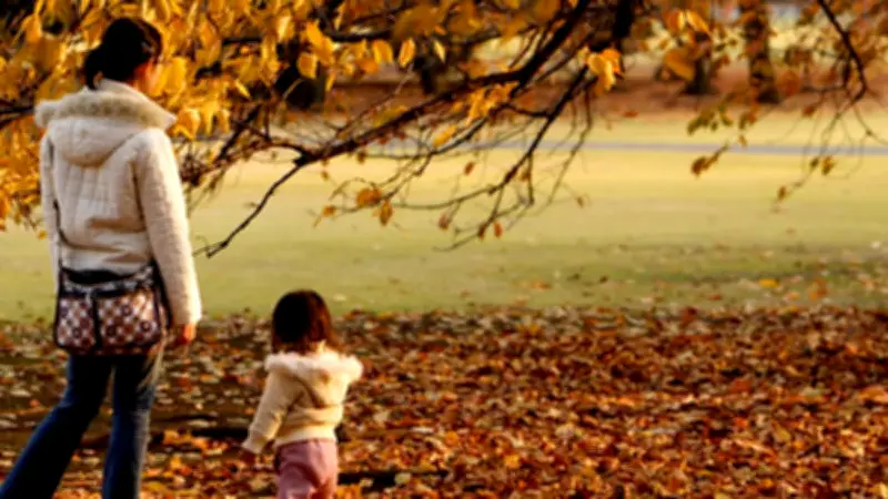 France mutualiste lance une plateforme d'éducation financière pour les femmes