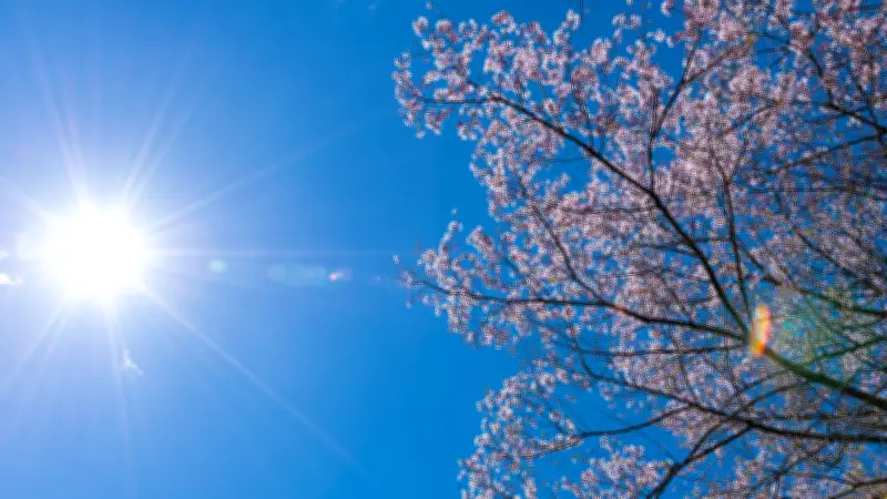 France : épisode de chaleur hivernale avec plus de 20°C en février, explications et durée