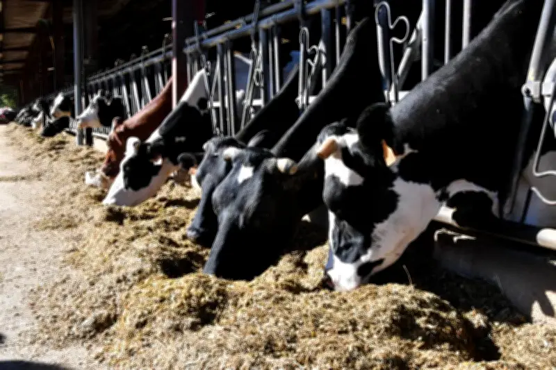 France Travail lance une immersion massive dans les fermes pour relancer le recrutement agricole