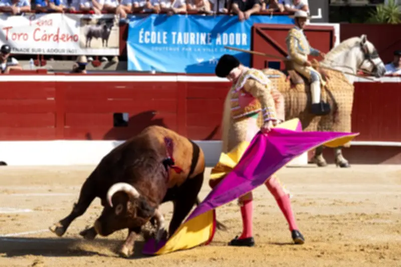 François Zumbiehl décrypte l'art de la corrida : entre esthétique et patrimoine