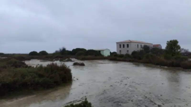 Frontignan : le corps de Maddy, 18 ans, retrouvé sans vie dans les Salins