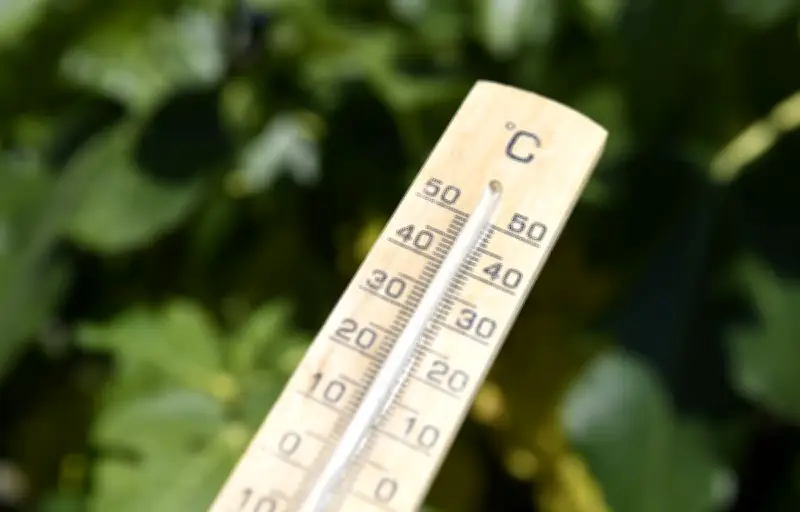 Février 2024 : des records de chaleur dignes de mai dans le Sud-Ouest