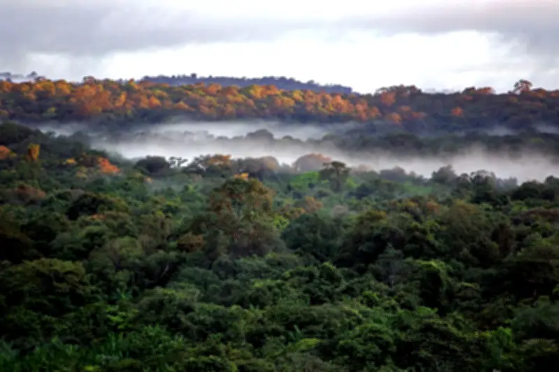 Guyane 2007 : le miracle de deux randonneurs perdus 50 jours en forêt vierge