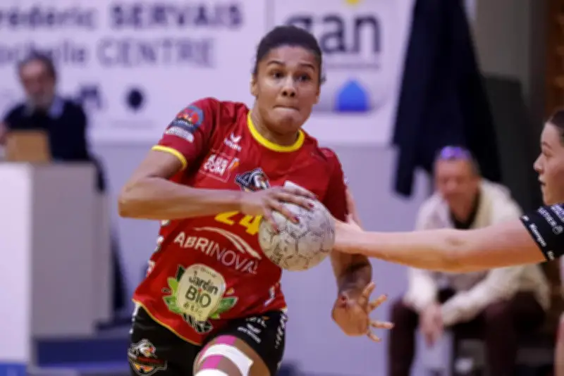 Handball féminin : Aunis veut confirmer face à Fleury en match retour