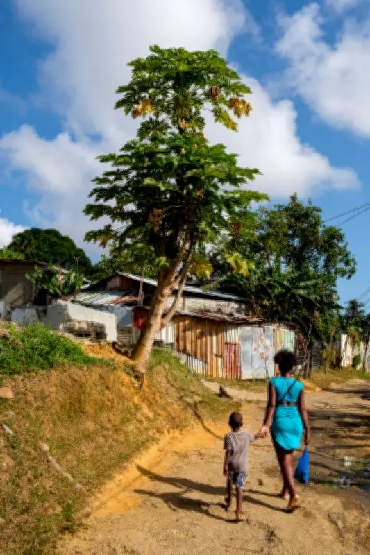 Handicap en Guyane : le cri d'alarme face à l'absence de solutions adaptées