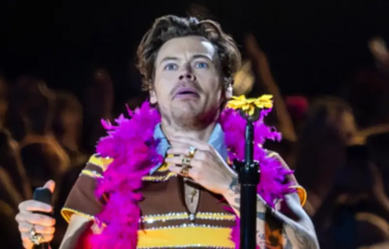 Harry Styles, parmi les plus gros contribuables britanniques avec 30 millions d'euros d'impôts