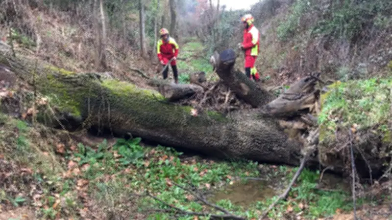 Hérault Méditerranée publie un guide pour les riverains des cours d'eau