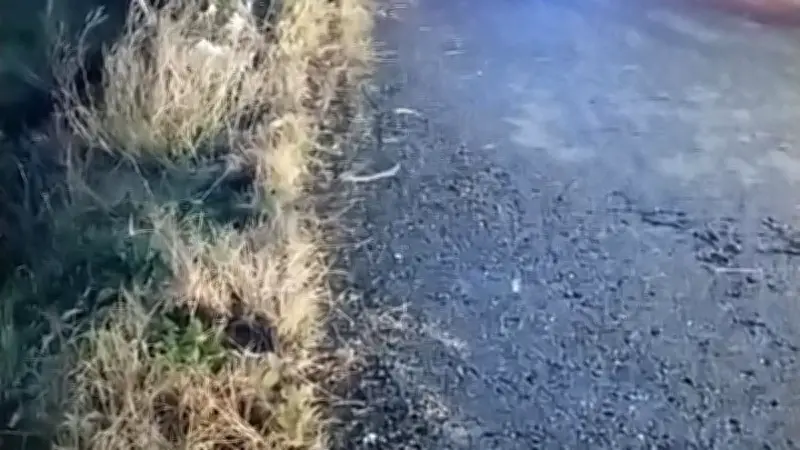 Hérault : un deuxième mort après l'accident de Noël, le chauffard ivre réclame sa liberté