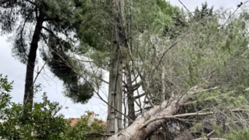 Huit familles privées d'électricité depuis quatre jours à Clermont-l'Hérault