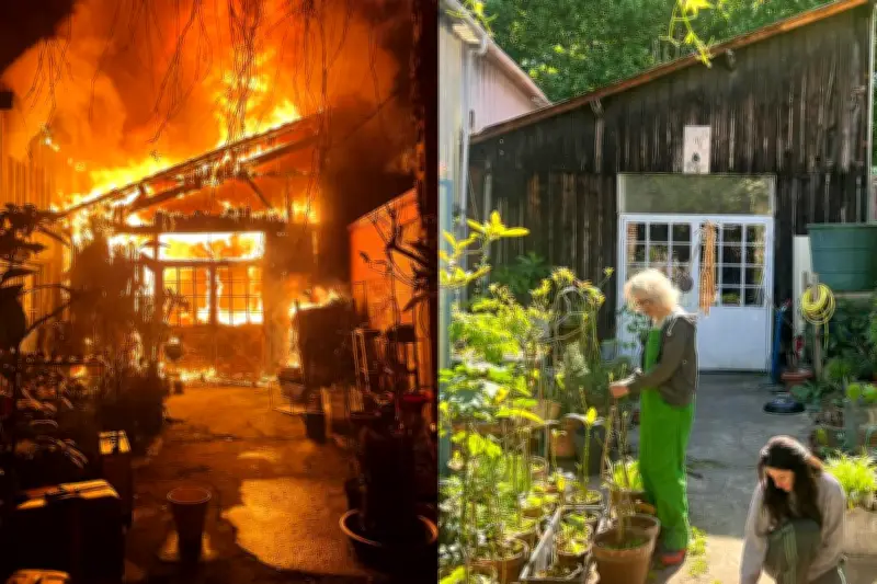 Incendie à l'atelier de Michel Blazy, le génie du moisi, à l'Île-Saint-Denis