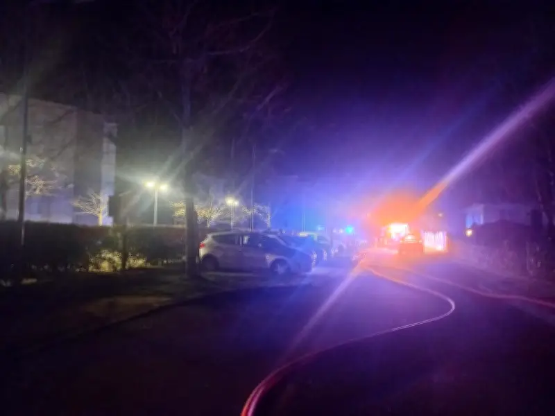 Incendies dans des parkings souterrains à Pau : six hospitalisés et 130 évacués