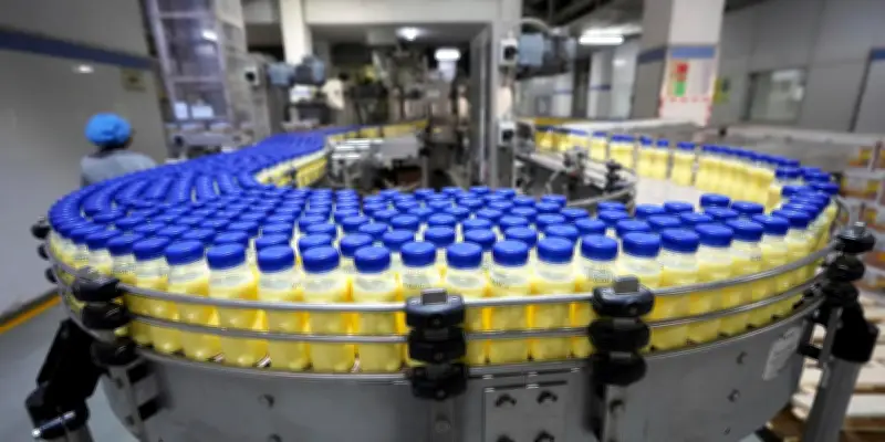 Inde : un scandale de lait synthétique découvert au Gujarat après cinq ans de production