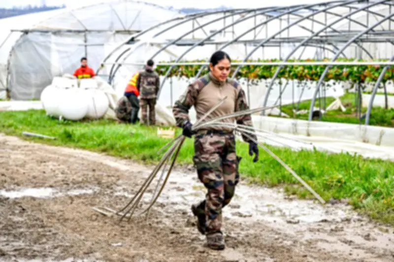 Inondations dans le Lot-et-Garonne : 100 renforts mobilisés pour sauver les fraises