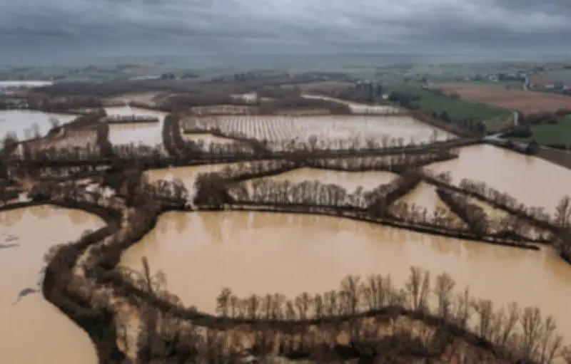 Inondations en France : les cultures agricoles face à une crise sans précédent