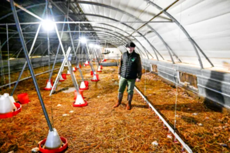 Inondations en Lot-et-Garonne : un éleveur perd 8 800 poussins, victime des crues et de la crise agricole