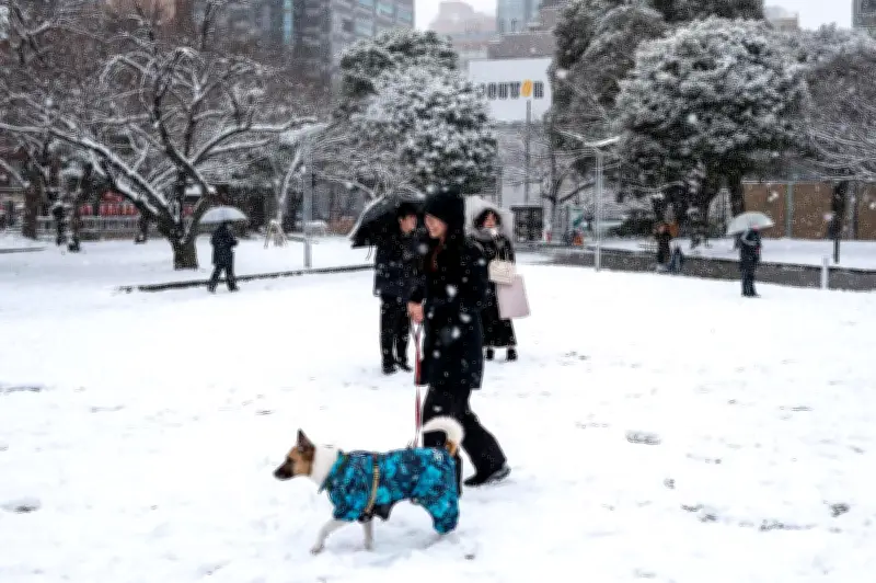 Intempéries hivernales au Japon : 46 morts et 558 blessés en un mois