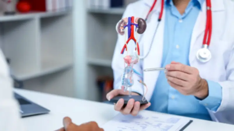 Éjaculation rétrograde : un trouble méconnu aux conséquences sur la fertilité masculine