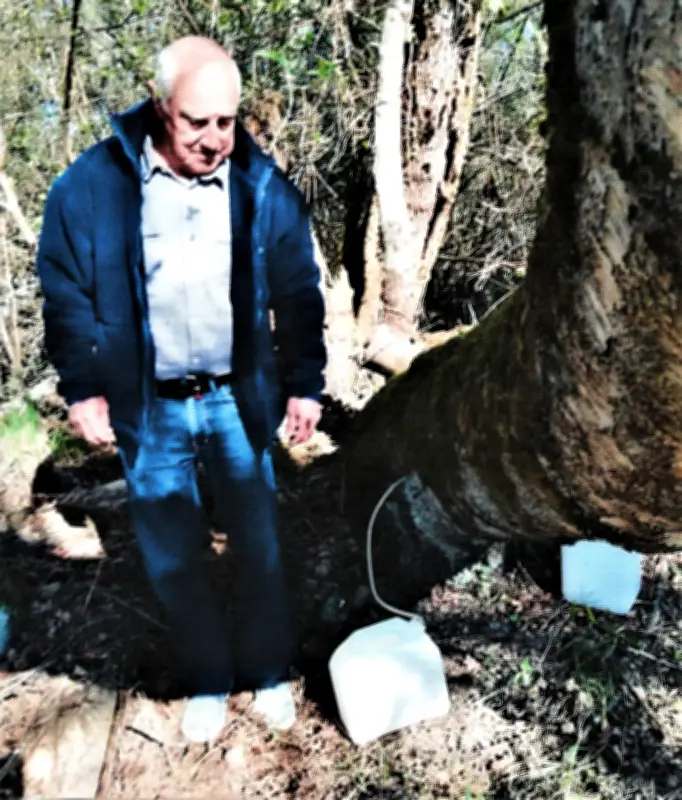 Joël Degrave vend de l'eau de bouleau pour financer la pédiatrie du CHU de Bordeaux