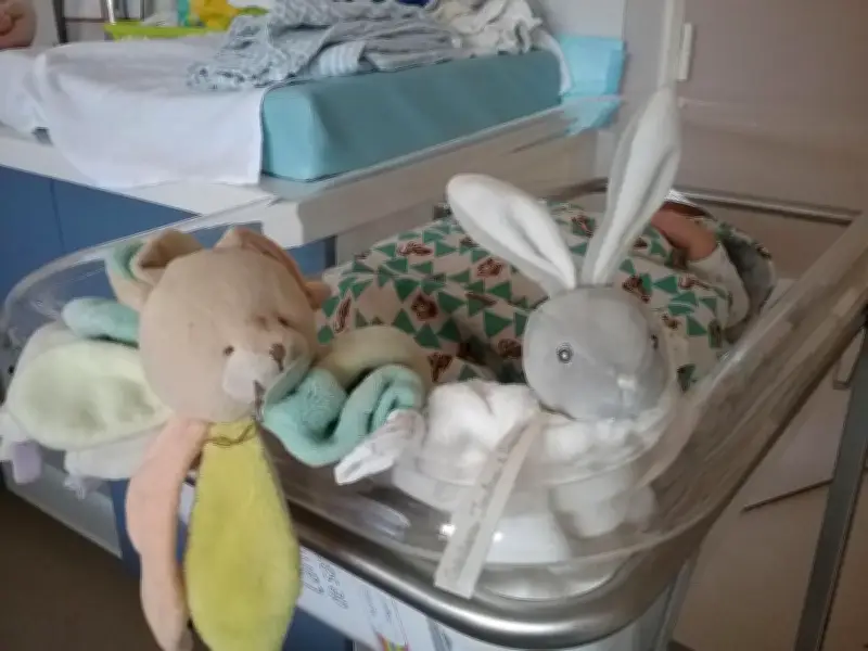 Journée portes ouvertes à la maternité de Saintes : visites et ateliers sur inscription