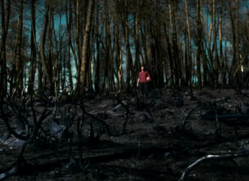 Justa de Teresa Villaverde : une plongée dans les douleurs de l'incendie