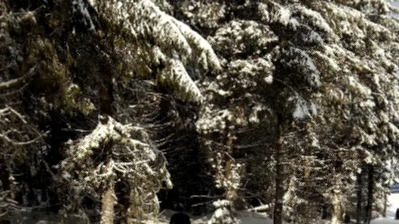 La 10e Ronde de la Margeride réunit 60 coureurs malgré la délocalisation au Mont-Lozère