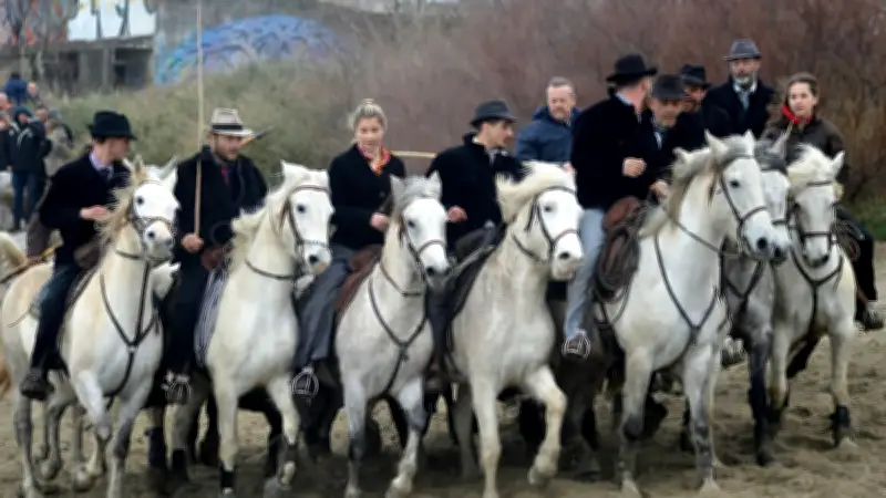 La 29e Abrivado des Plages lance la saison taurine au Grau-du-Roi