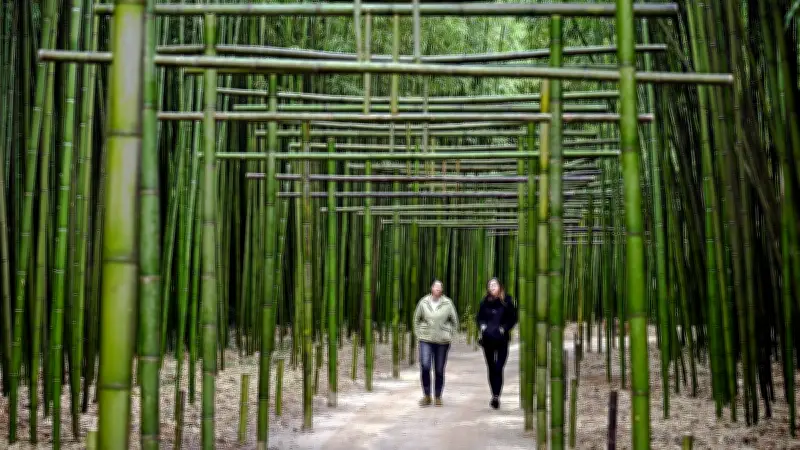 La Bambouseraie fête ses 170 ans avec de nouvelles installations et un programme festif