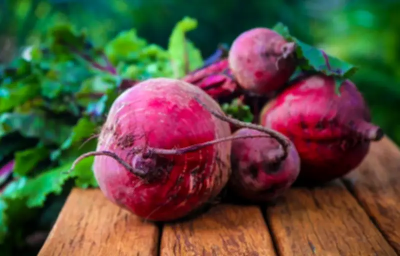 La betterave, un légume aux multiples vertus nutritionnelles à redécouvrir