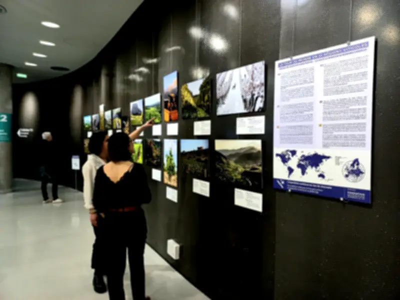 La Cité du Vin célèbre ses 10 ans avec une exposition mondiale de vignobles