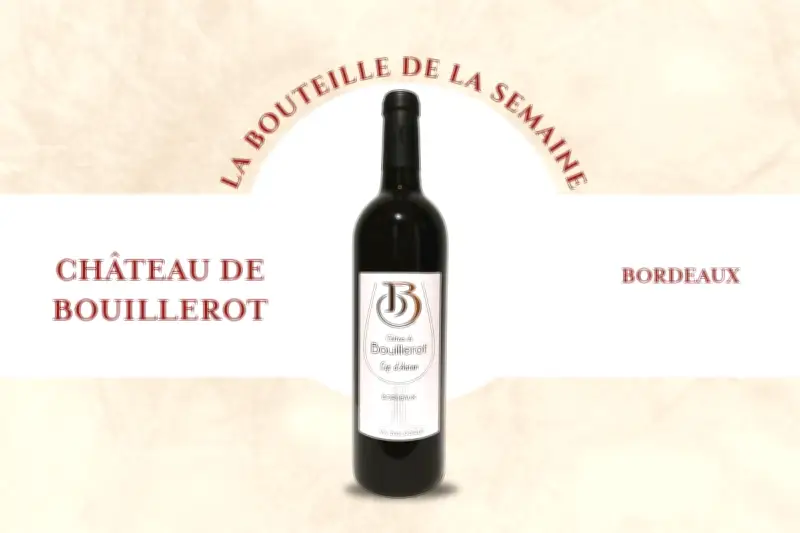 La Cuvée Cep d'Antan du Château de Bouillerot : Un Bordeaux Bio Original à Prix Doux