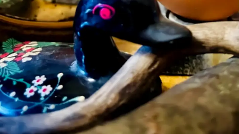 La Fabrique du Vialas se transforme en laboratoire de marionnettes pour interroger l'origine de la vie